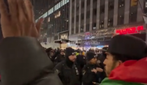 Protestors Rally During Tree Lighting In NYC